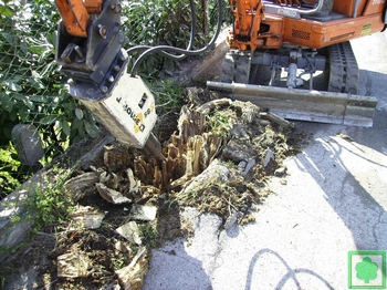 rimozione ceppi in spazi ristretti